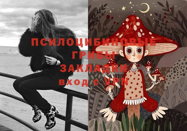 крисы Алексеевка