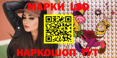 шишки Новодвинск