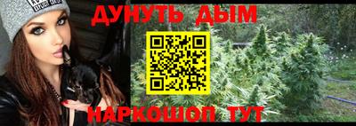 шишки Новодвинск