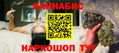 шишки Новодвинск