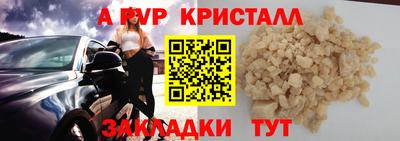 шишки Новодвинск