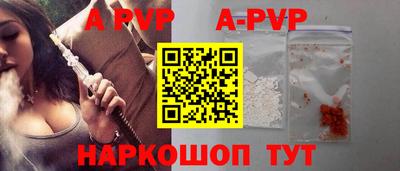 шишки Новодвинск