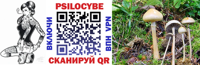 Галлюциногенные грибы Psilocybine cubensis Геленджик