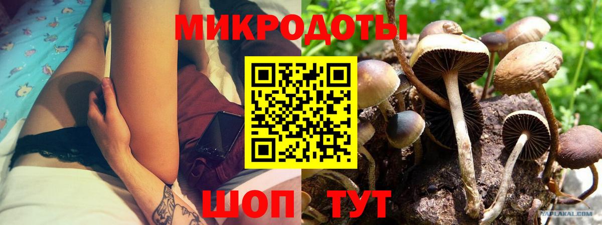 Геленджик  Галлюциногенные грибы GOLDEN TEACHER  Вход с VPN 
