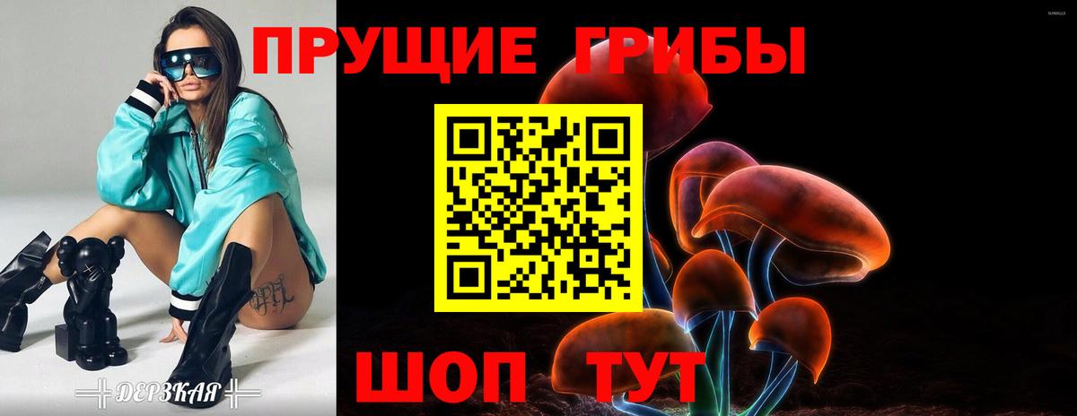 Галлюциногенные грибы мухоморы Геленджик