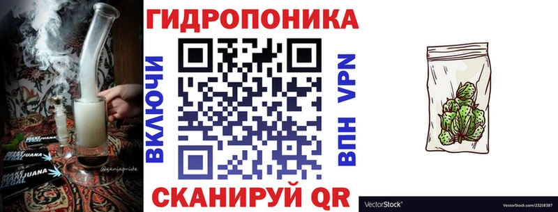 наркотики  Геленджик  Канабис сатива 